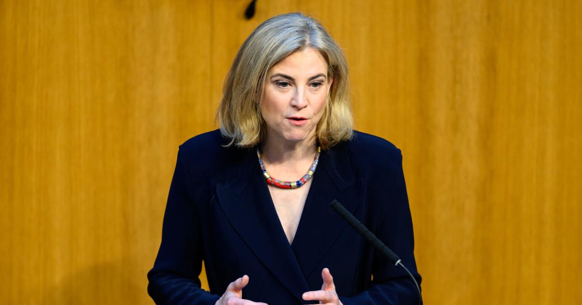 Warum-die-Neos-in-der-letzten-Parlamentswoche-im-Fokus-stehen