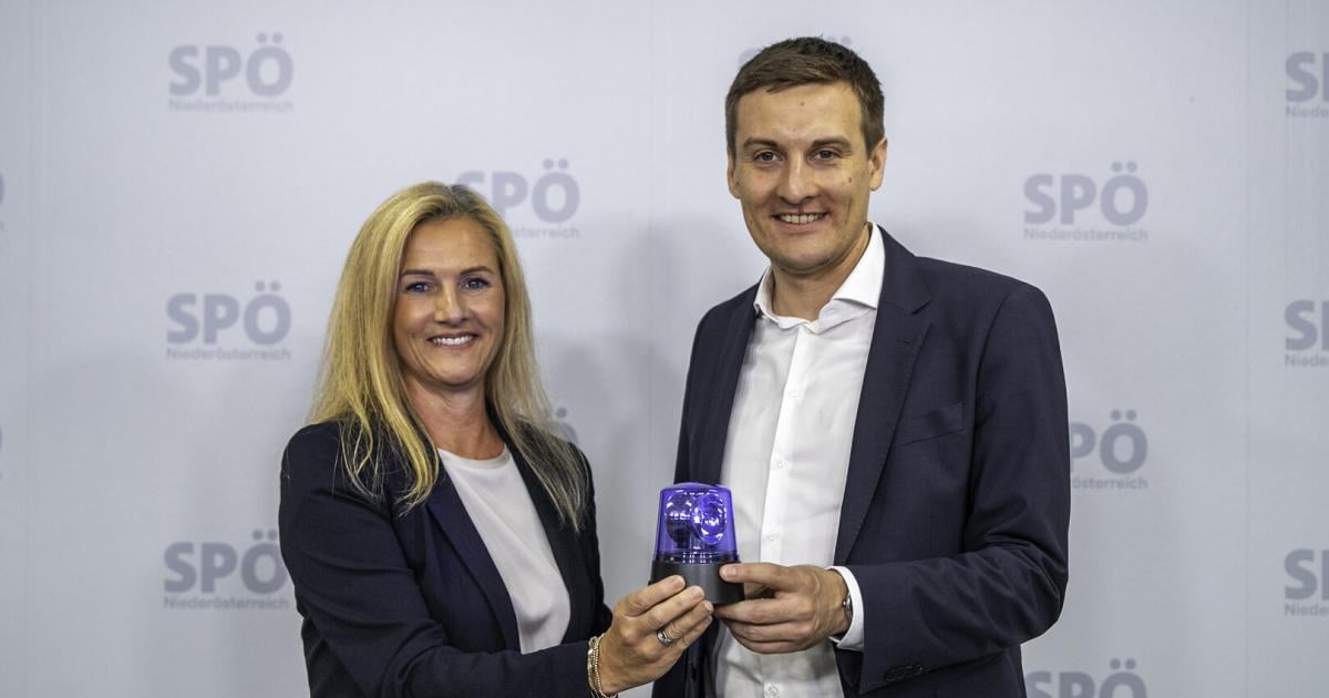 Wiener-Neustadt-Petra-Tanzler-gibt-SP-Parteivorsitz-ab