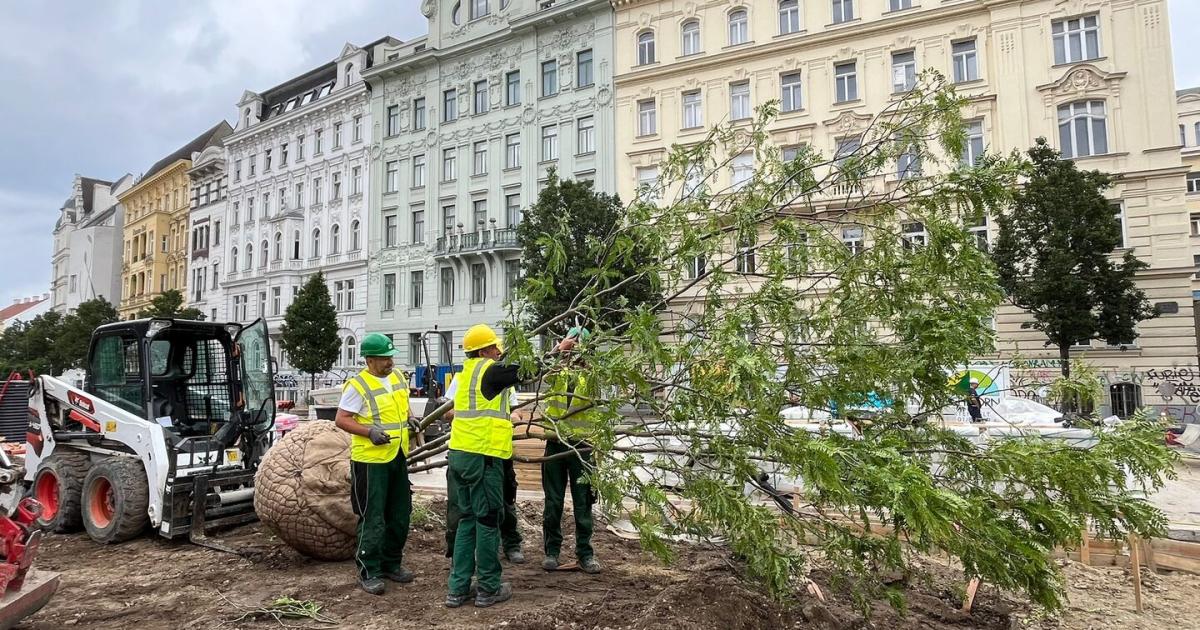 10-neue-B-ume-Auch-die-Stumpergasse-wird-klimafit