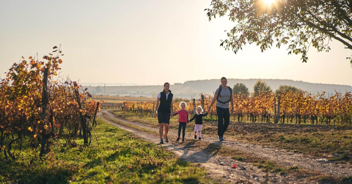 Nordburgenland-Wandern-in-den-Weiten-mit-Genuss