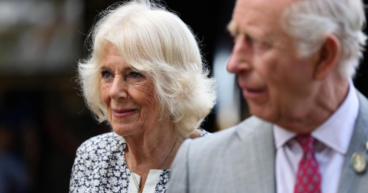 Seit-Jahren-unver-ndert-Kosmetikerin-verr-t-auf-welche-Behandlung-Camilla-schw-rt