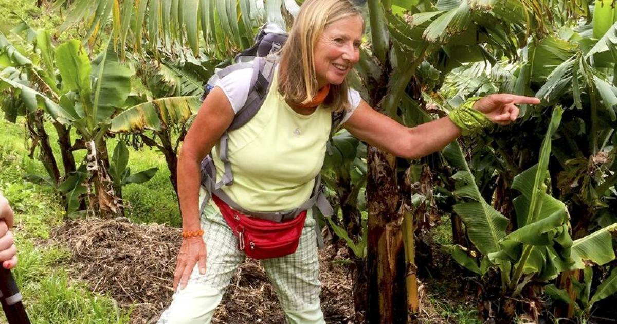 Aus-der-Steiermark-ausgewandert-Eine-Arche-auf-Madeira