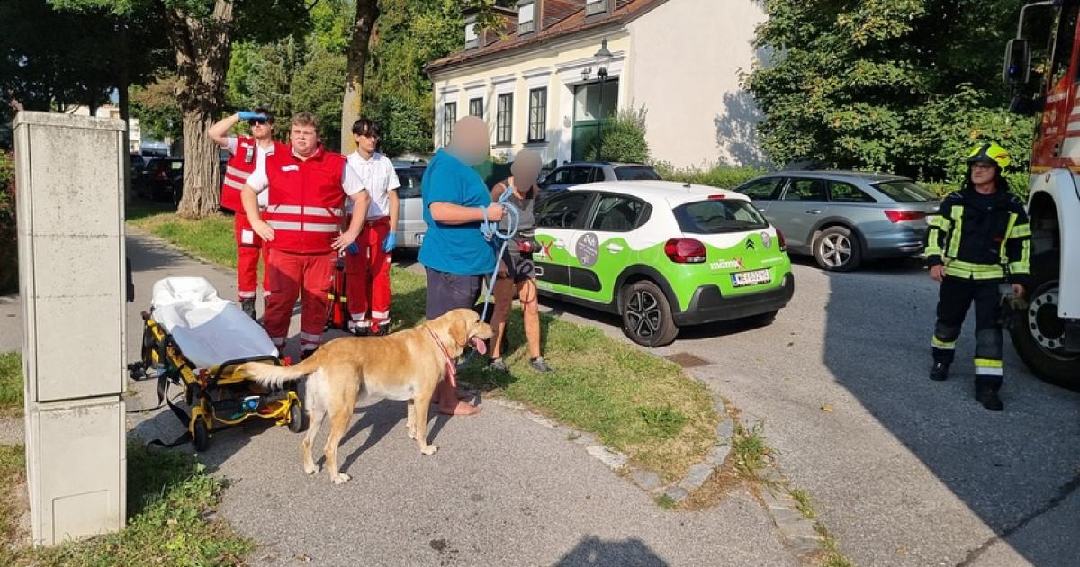 N-Feuerwehr-rettete-vermissten-Hund-bei-Zimmerbrand