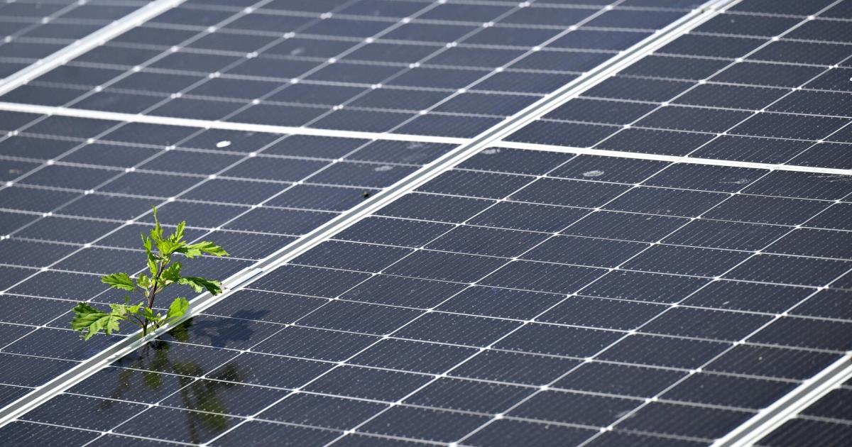 -Gezielte-F-rderung-Mehr-Photovoltaik-Ausbau-als-geplant
