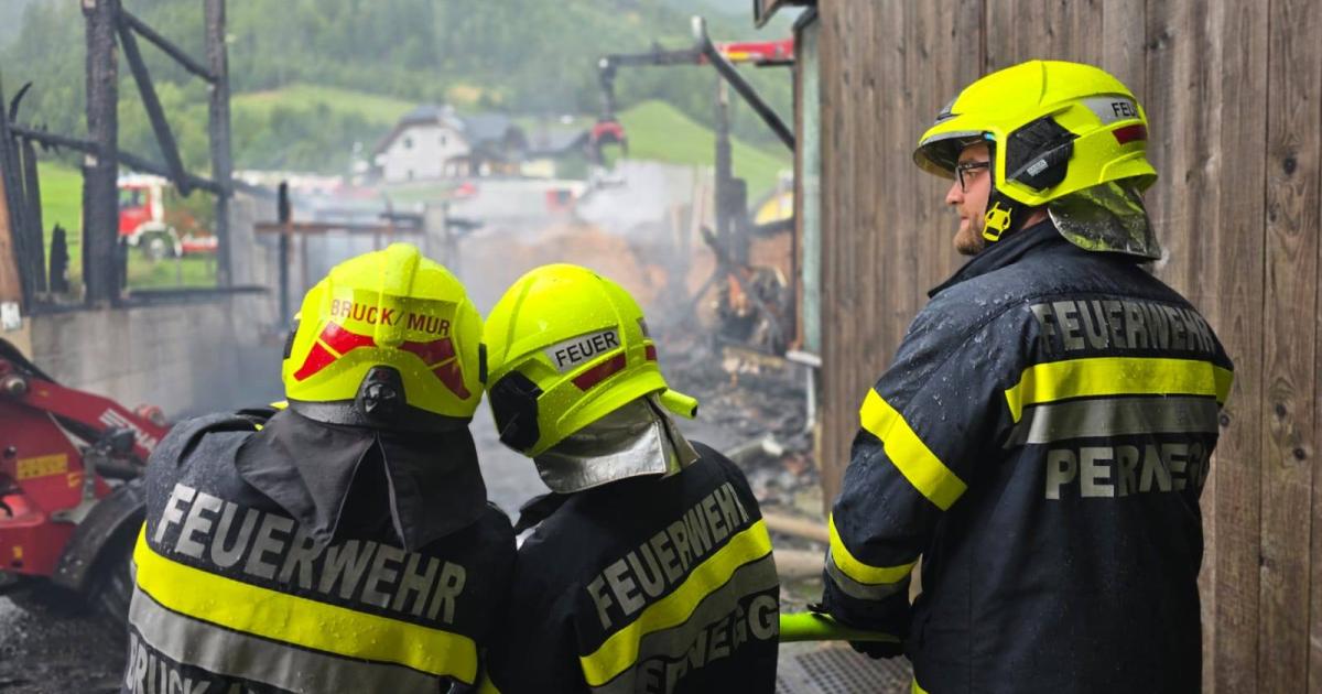 Bruck-an-der-Mur-5-Feuerwehren-k-mpften-gegen-Gro-brand-in-Lagerhalle