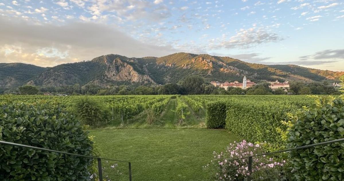 Kamptaler-Bio-Weingut-expandiert-in-der-Wachau