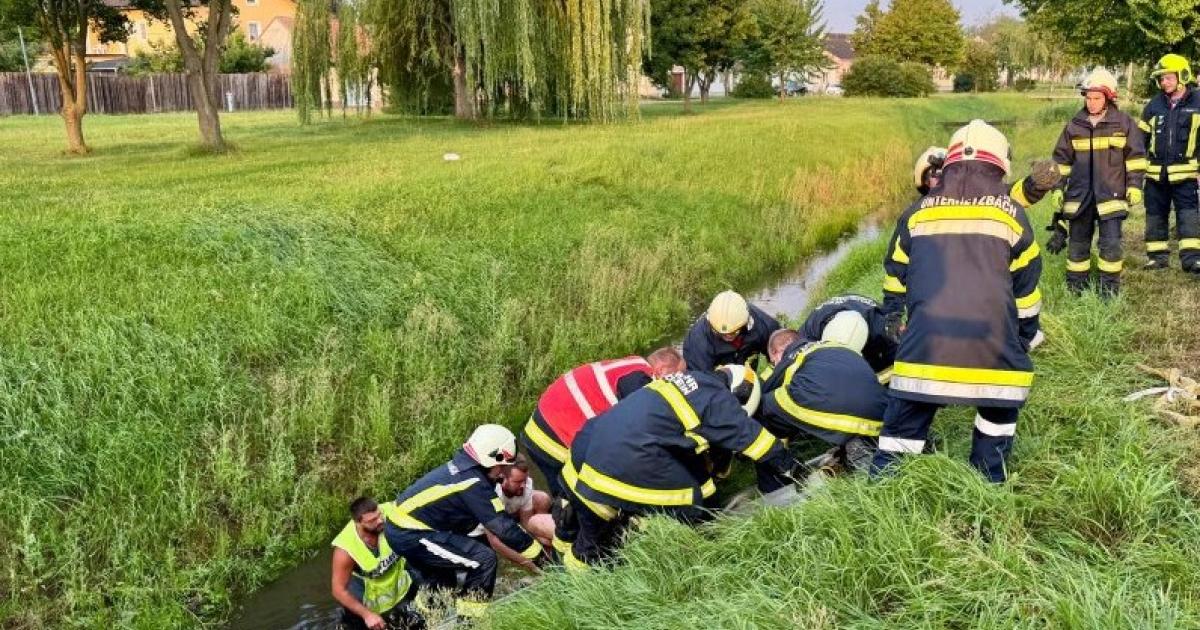 Sturz-ber-B-schung-Weinviertler-Feuerwehr-rettete-Mann-aus-Bach