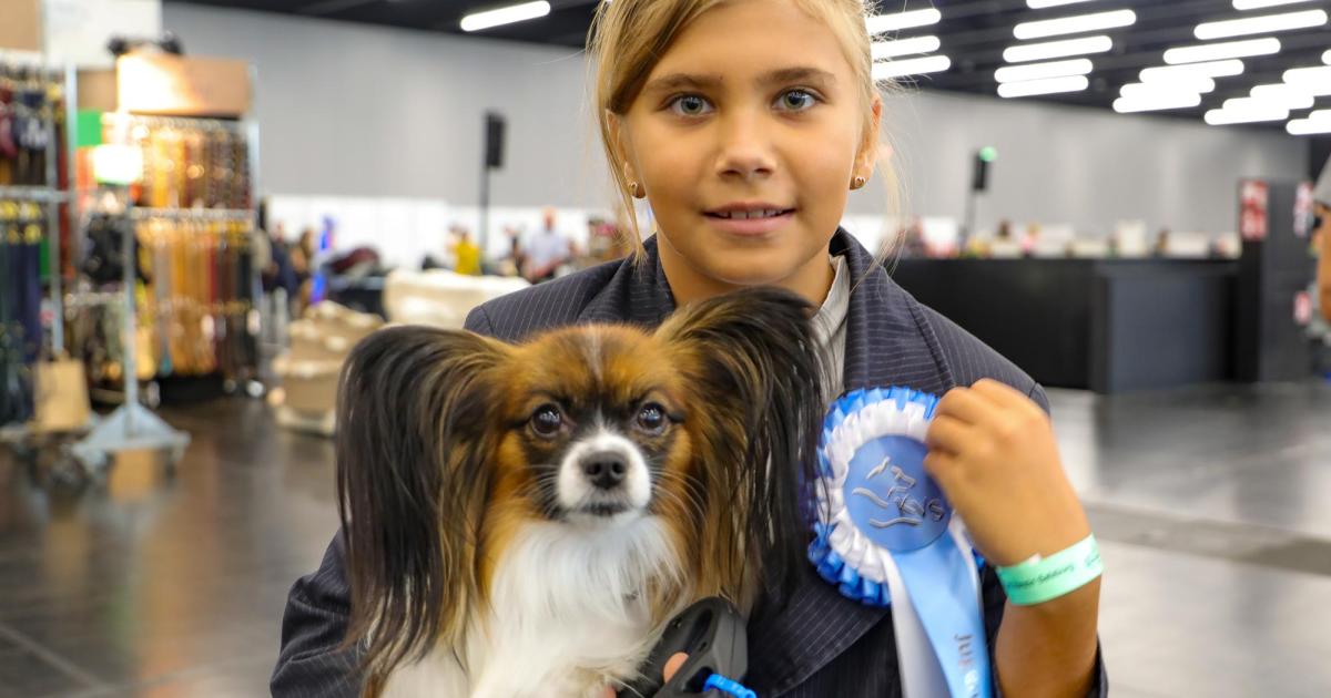 Salzburg-ist-auf-den-Hund-gekommen-Rassehundeschau-im-Messezentrum