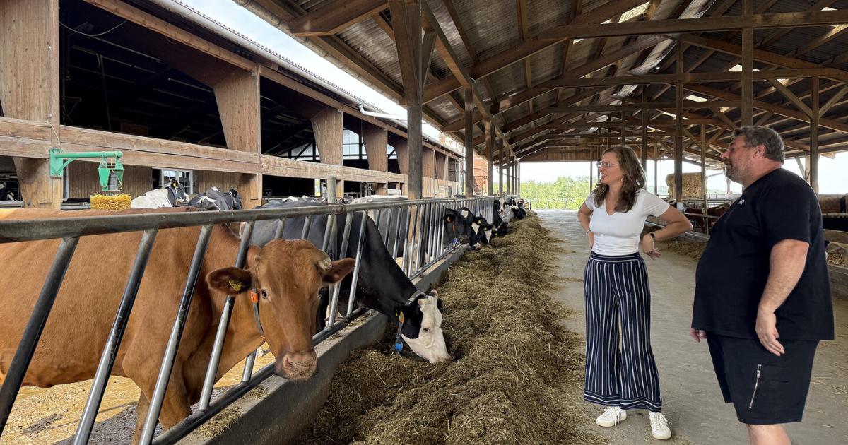 Der-Milchbetrieb-im-Burgenland-der-das-Klima-schont