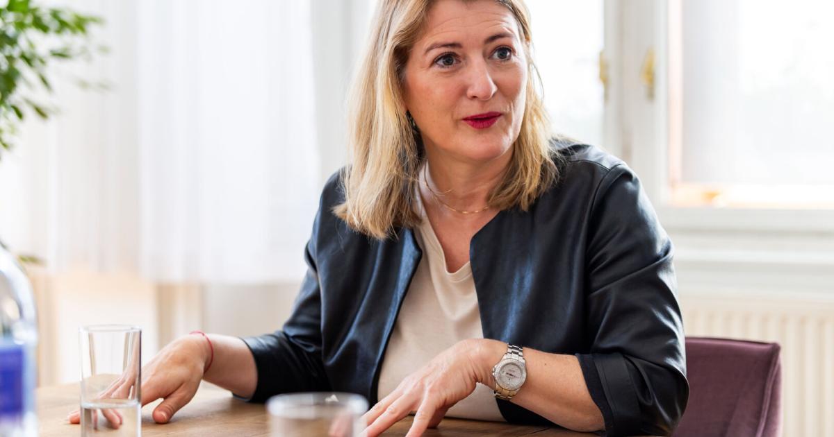 Emmerling-kommt-mit-Rede-an-die-Nation-aus-der-Deckung