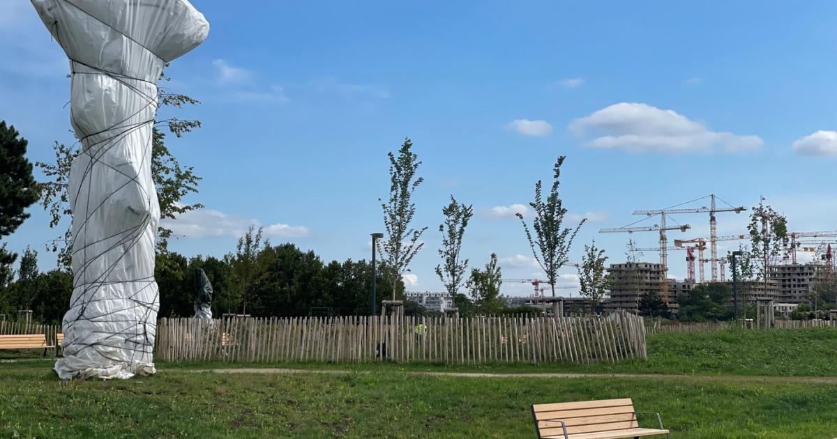 Floridsdorf-Es-wird-langsam-Heller-im-Kunst-Park