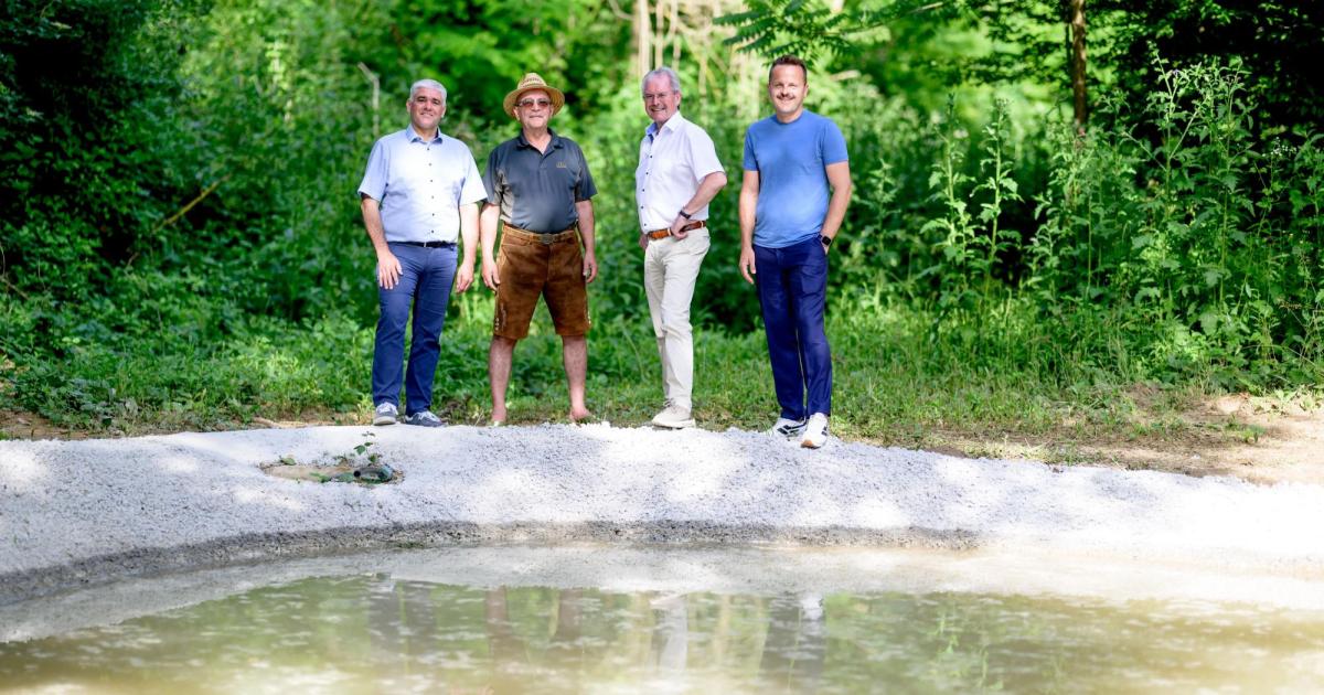 Vorzeigeprojekt-im-Weinviertel-Hightech-Suhle-versorgt-Wildtiere-mit-Wasser