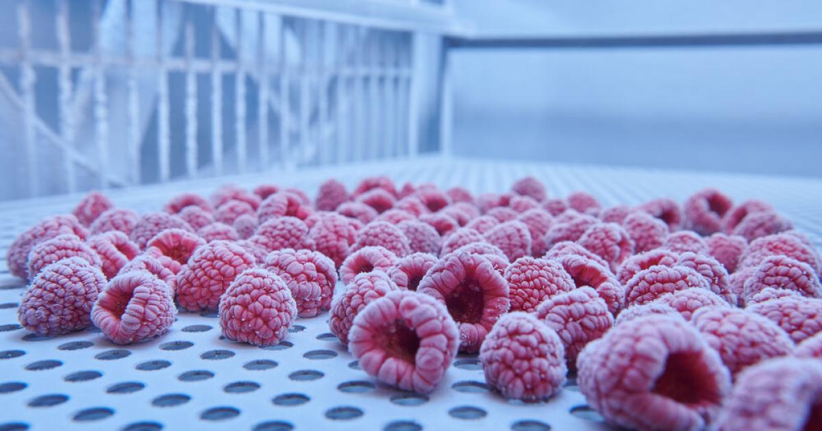 Kryogenes-Frosten-Wie-Lebensmittel-ihre-Qualit-t-behalten