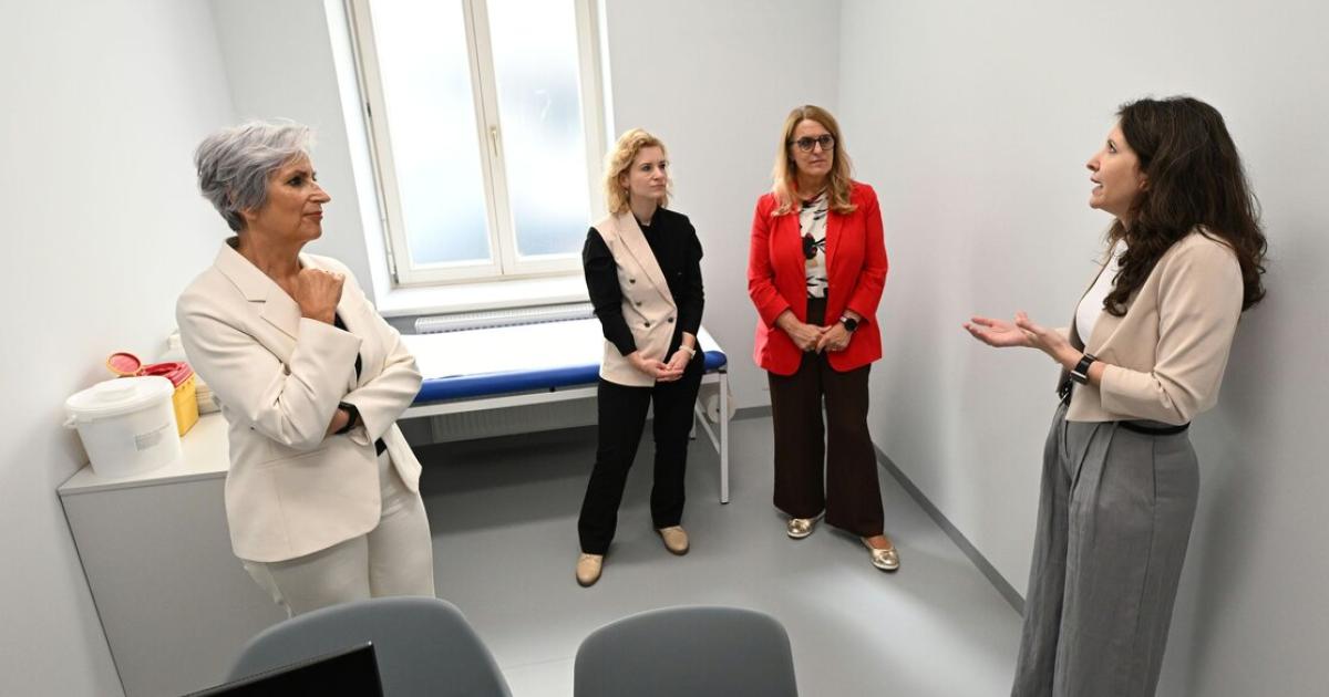 gewaltambulanz-wien-400-dokumentierte-f-lle-in-nur-acht-monaten