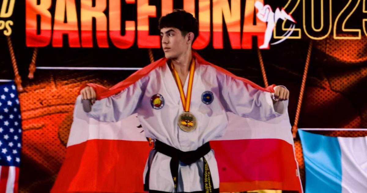 Sch-ler-aus-Krems-ist-auf-dem-Weg-zum-Taekwondo-Meister