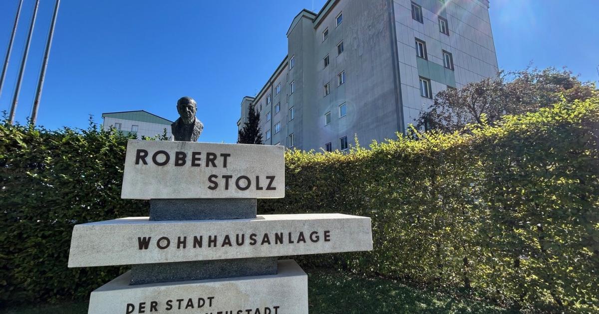 SP-Wiener-Neustadt-will-gegen-Verkauf-der-Gemeindewohnungen-stimmen