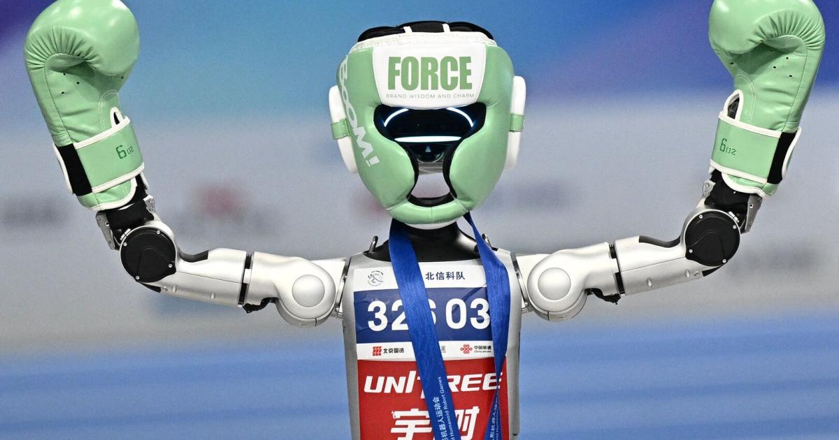 -Wir-ersetzen-menschliche-durch-digitale-Arbeit-aber-Bots-zahlen-keine-Steuern-