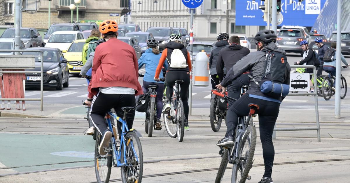 Neos-sagen-Nein-zu-Hankes-Helmpflicht