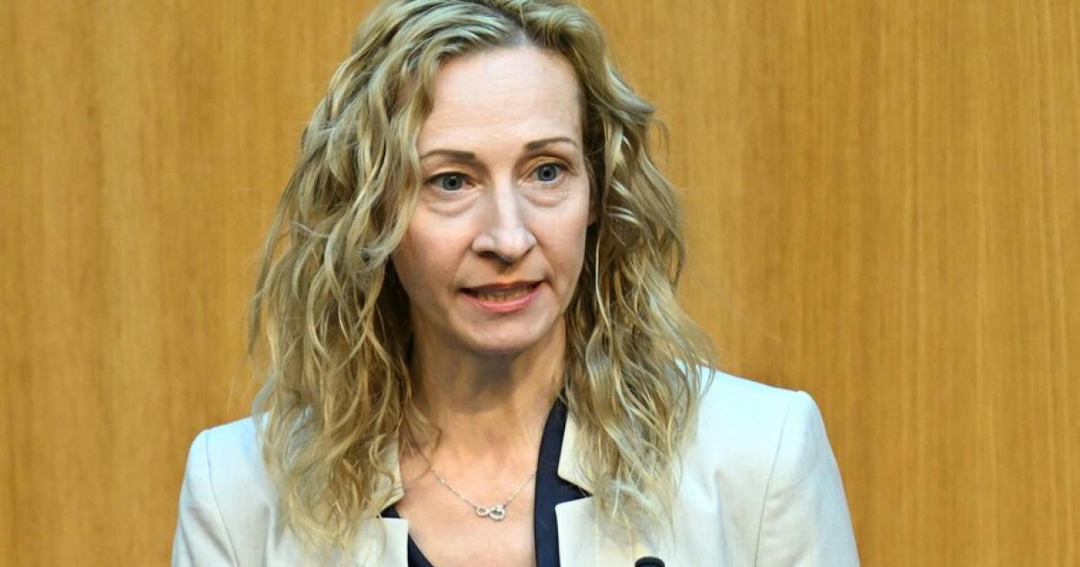 Gr-ne-Systematische-Erfassung-von-Waffenfunden-bei-Rechtsextremen