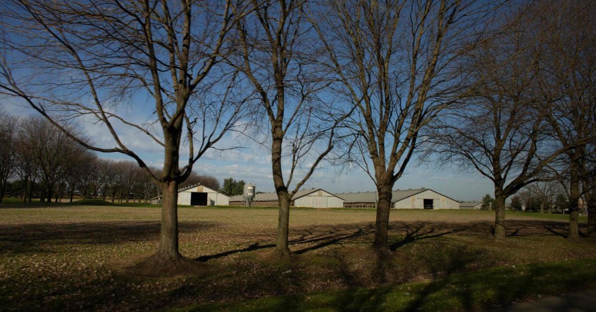 Slowakei-Urlaub-am-Bauernhof-nur-f-r-Oligarchen-und-auf-Kosten-der-EU