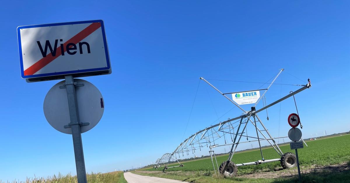 Das-Ende-von-Wien-Beim-Pfirsichteich-w-chst-Kukuruz