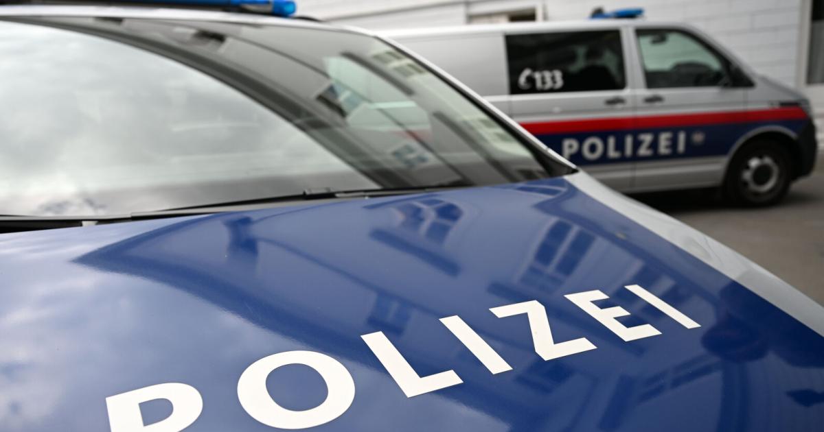 Favoriten-Einbrecher-in-Keller-auf-frischer-Tat-ertappt
