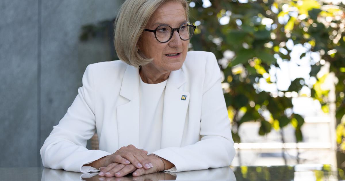 Debatte-um-Sozialhilfe-Mikl-Leitner-will-noch-strenger-werden-