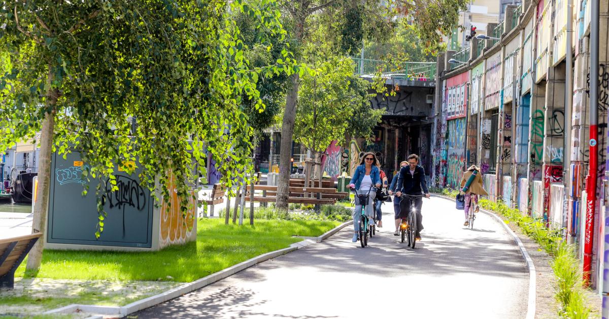 Mehr-Gr-n-und-neuer-Radweg-am-Wiener-Donaukanal