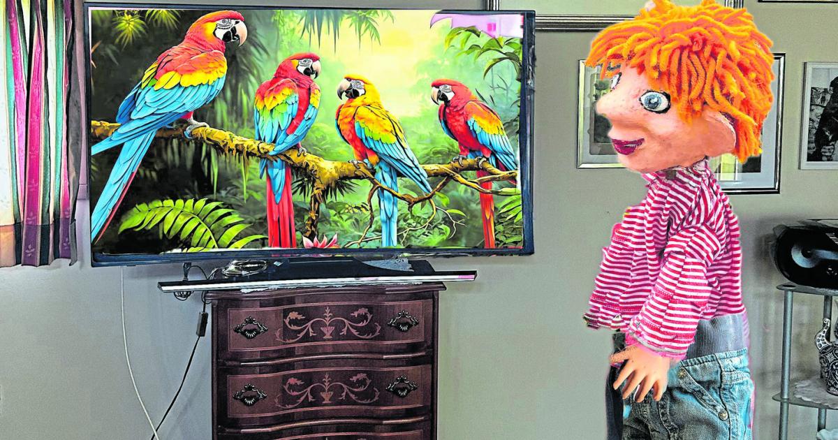 Der-neue-Fernseher