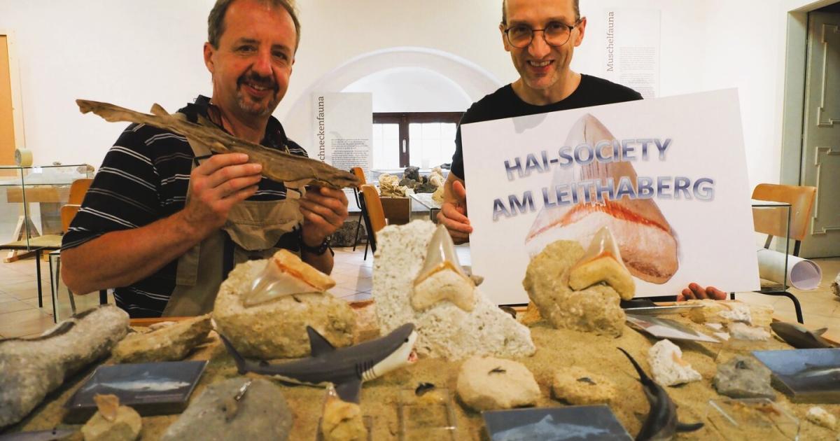 Als-Riesenhaie-durchs-Wiener-Becken-schwammen