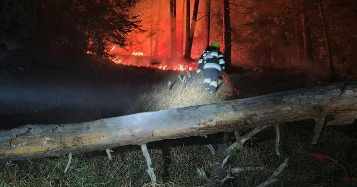 Feuerwehren-ben-gemeinsam-f-r-Waldbrand-Eins-tze