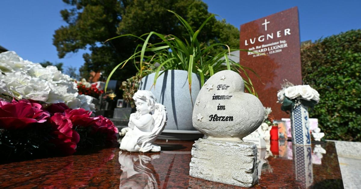 Nach-der-Lugner-City-bekommt-Wien-wohl-auch-Lugner-Park