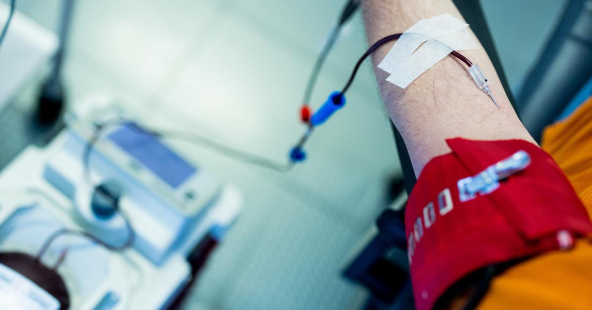Sommerferien-und-neue-Regeln-versch-rfen-Blutnotstand-in-N-