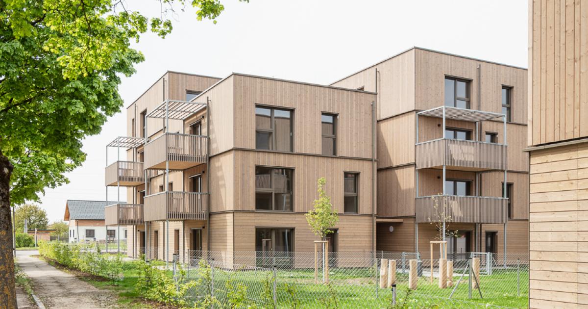 20-N-Holzbaupreis-2025-Die-kreativsten-Projekte-des-Landes