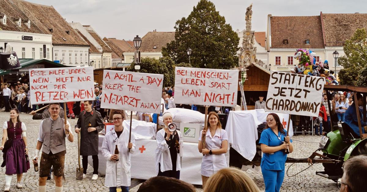 Bezirk-Hollabrunn-B-rgermeister-Allianz-f-r-Not-rzte-und-Klinikstandort