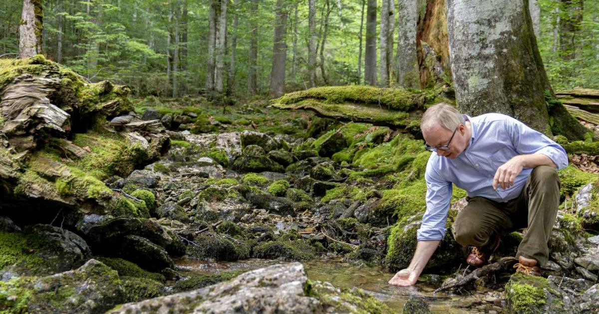N-Land-unterst-tzt-Errichtung-von-Feuchtbiotopen
