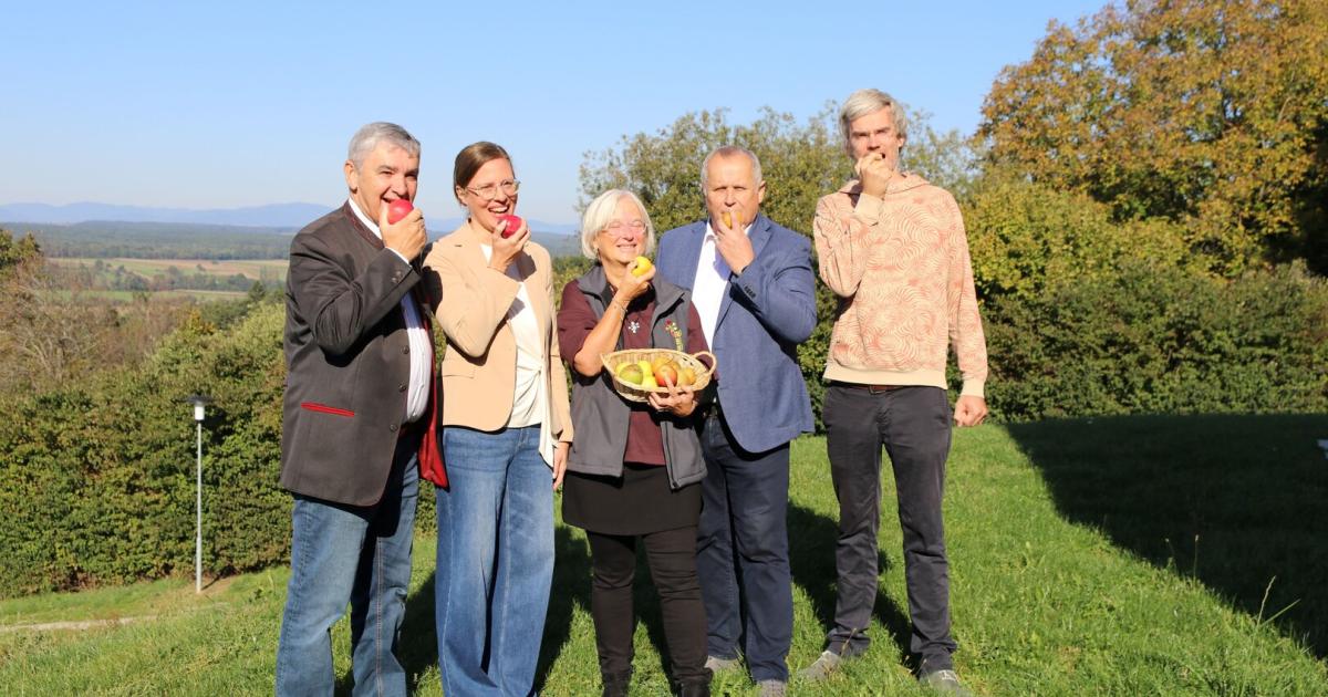 Streuobst-zum-Verkosten-Apfelkulinarium-kehrt-zur-ck