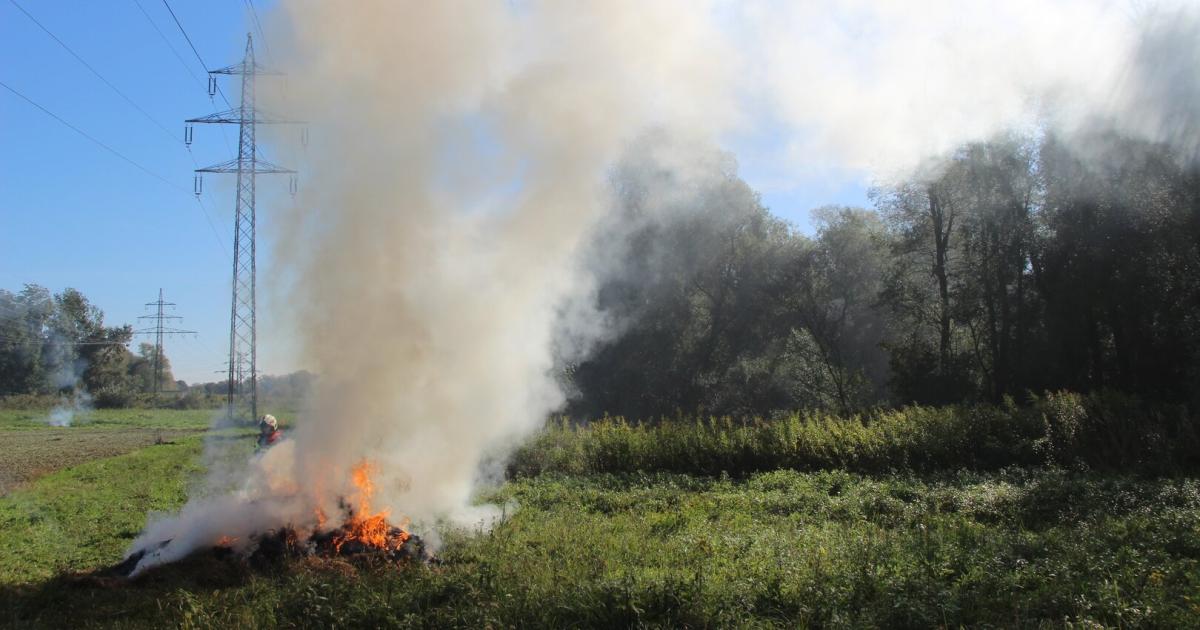Wenn-Heu-und-Stroh-zur-Gefahr-werden-Feuerwehren-ben-Ernstfall