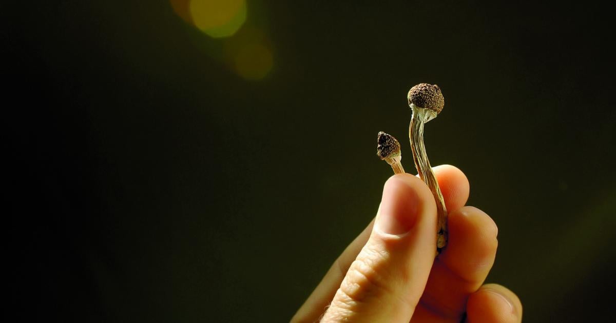 Microdosing-Leistungsf-higer-durch-kleinste-Mengen-LSD-und-andere-Substanzen-
