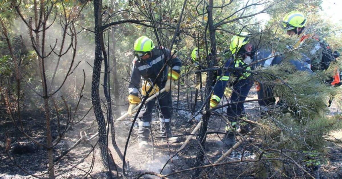 -Schatzkarte-als-Waffe-gegen-Waldbr-nde