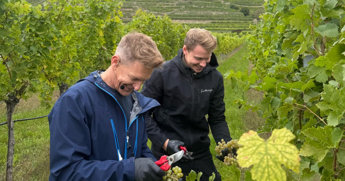 Prominenter-Besuch-am-Weingut-Gattinger-in-D-rnstein