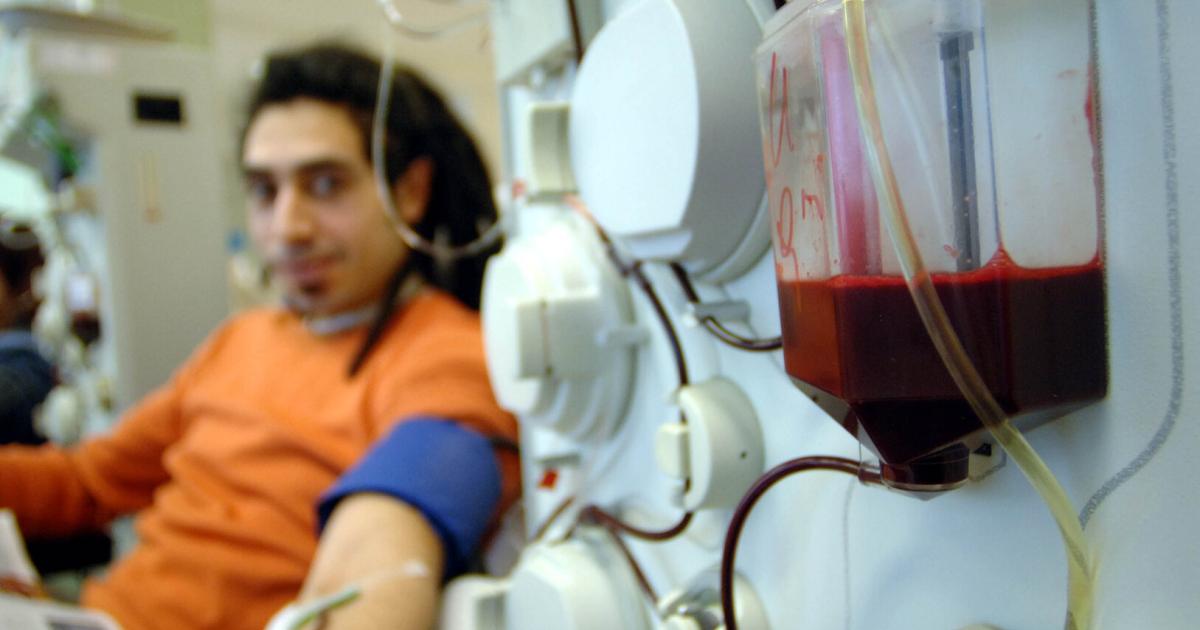 Plasmaspende-in-der-Krise-sterreich-k-mpft-gegen-r-ckl-ufige-Spenden