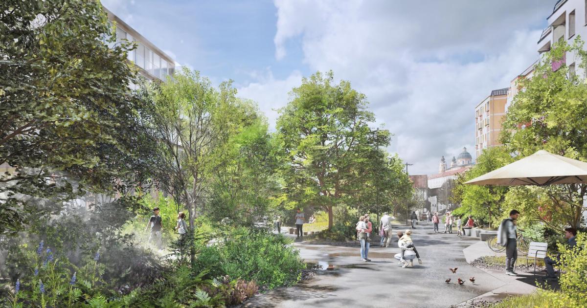 Klimawald-statt-Asphalt-Melk-plant-das-Gro-projekt-Stadt-Boulevard-