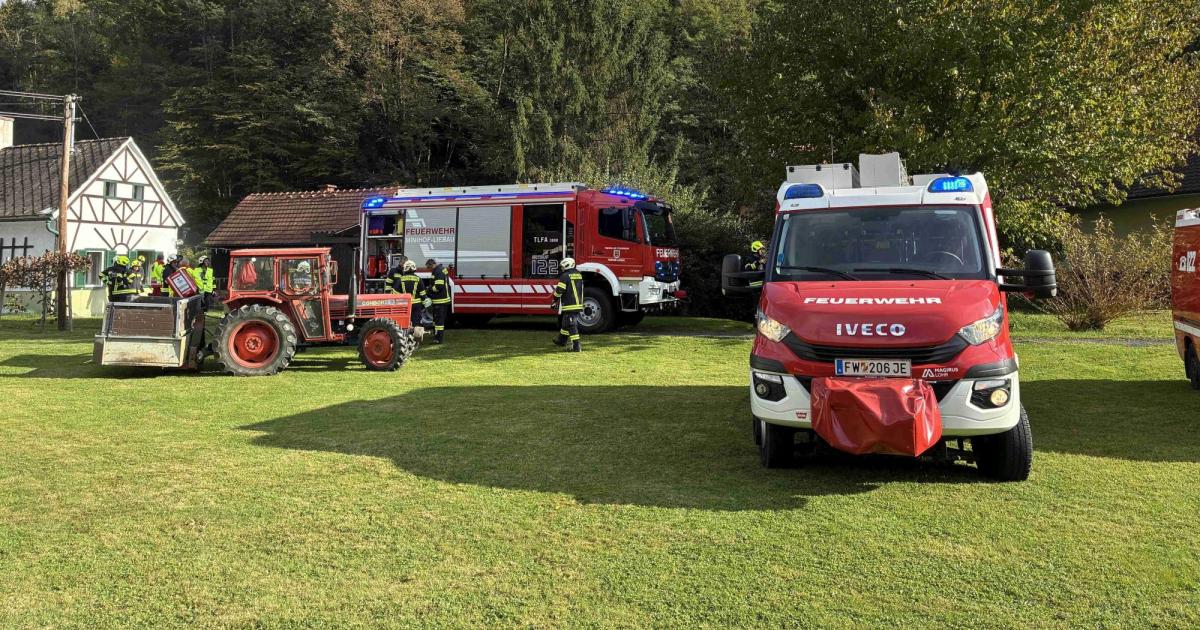 Aufmerksamer-Hund-verhinderte-Wohnhausbrand