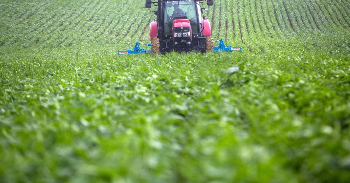 Wie-der-USA-China-Zollstreit-Europas-Bauern-unter-Druck-setzt