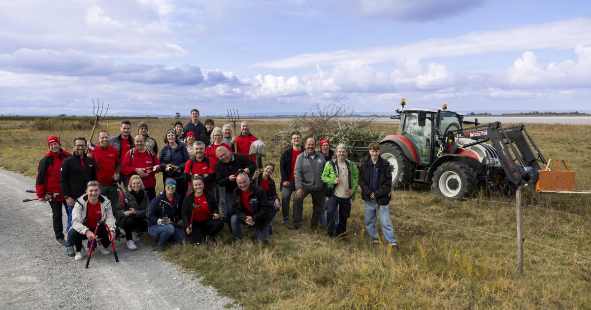 Wie-Coca-Cola-Mitarbeiter-invasive-Pflanzen-im-Seewinkel-bek-mpfen