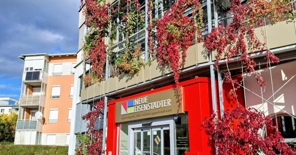 Burgenland-Ist-die-beh-rdliche-Aufsicht-zum-Krenreiben-