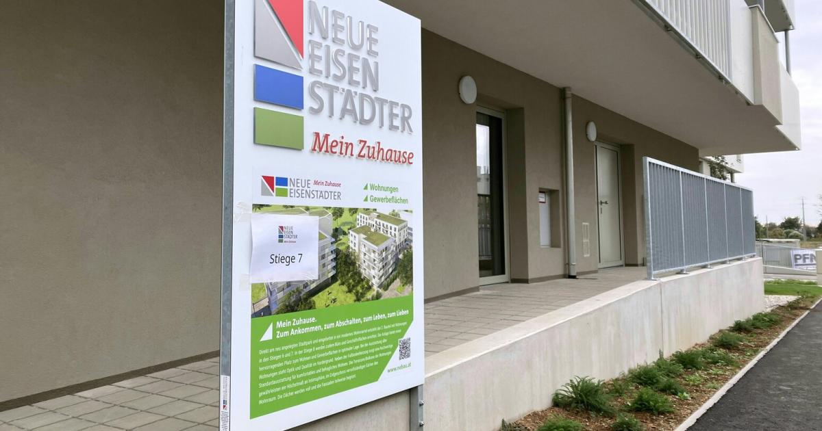 Nebau-Raiffeisen-pr-ft-Einspruch-gegen-Regierungskommiss-r