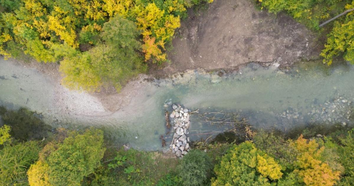 Millionenprojekt-an-der-Pielach-bremst-Hochwasser-und-forciert-die-Natur