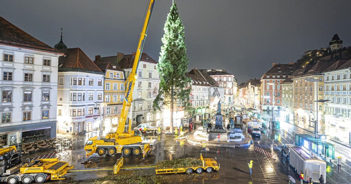 Christbaumzauber-in-Graz-150-Jahre-alte-Fichte-f-r-den-Hauptplatz
